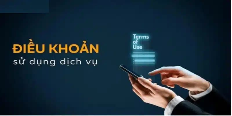  điều khoản nhà cái trên website